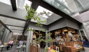 Nook Clarence St restaurant